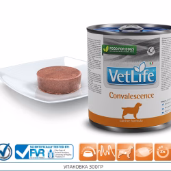 VET LIFE DOG WET FOOD NATURAL DIET CONVALESCENCE 300 GR