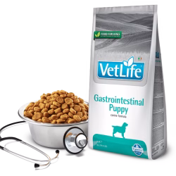 VET LIFE DOG NATURAL DIET GASTRO-INTESTINAL PUPPY 12 KG