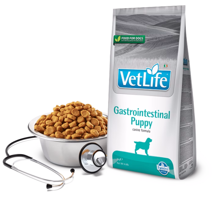 VET LIFE DOG NATURAL DIET GASTRO-INTESTINAL PUPPY 12 KG