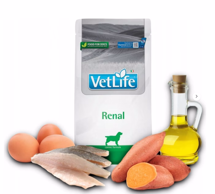 VET LIFE DOG NATURAL DIET RENAL 2 KG