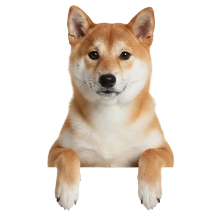 Дизайн без названия